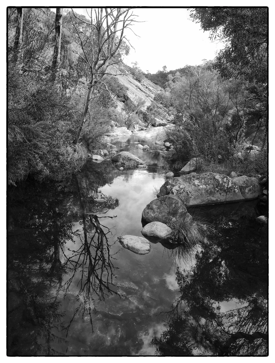 Black & White — photograph 13 of 44