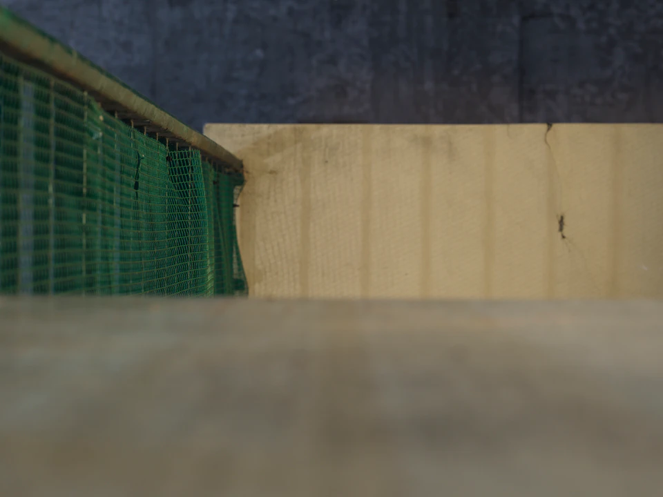 Color — photograph 39 of 73