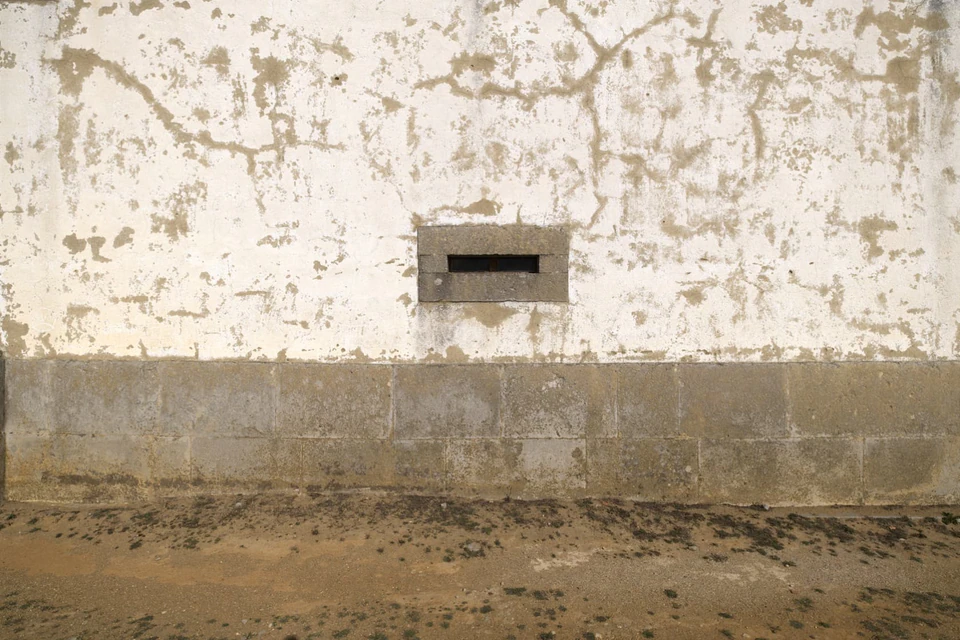 Vidi aliquid (2016 - ~) — photograph 16 of 92