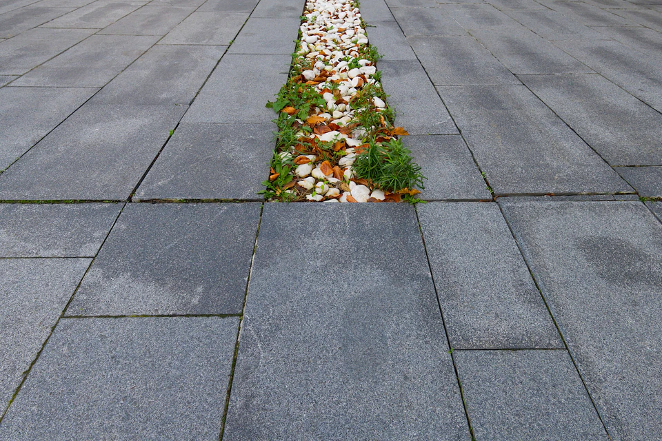 Nature’s Tenacity (2020 - ~) — photograph 4 of 9