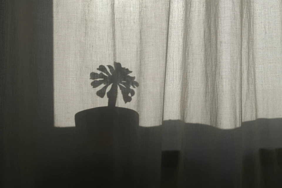 Vidi aliquid (2016 - ~) — photograph 47 of 92