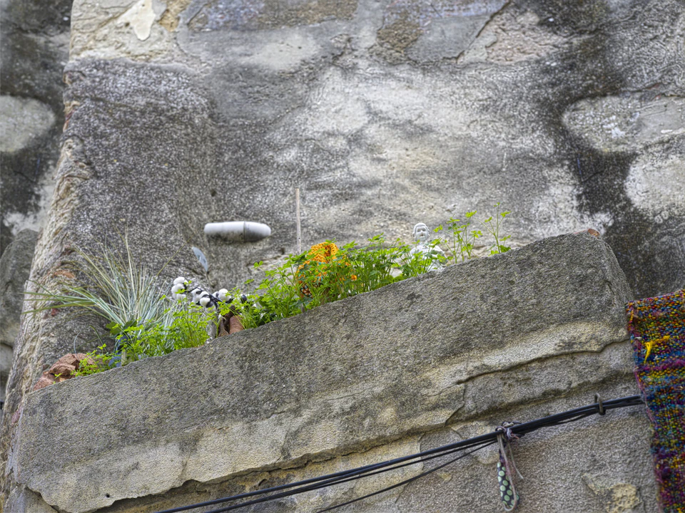 Vidi aliquid (2016 - ~) — photograph 60 of 92