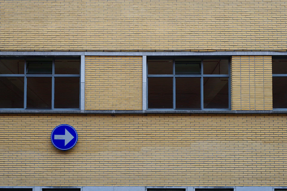 Vidi aliquid (2016 - ~) — photograph 70 of 92