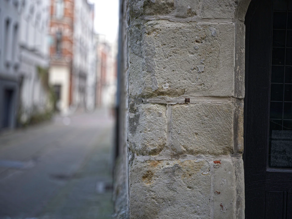 Vidi aliquid (2016 - ~) — photograph 73 of 92