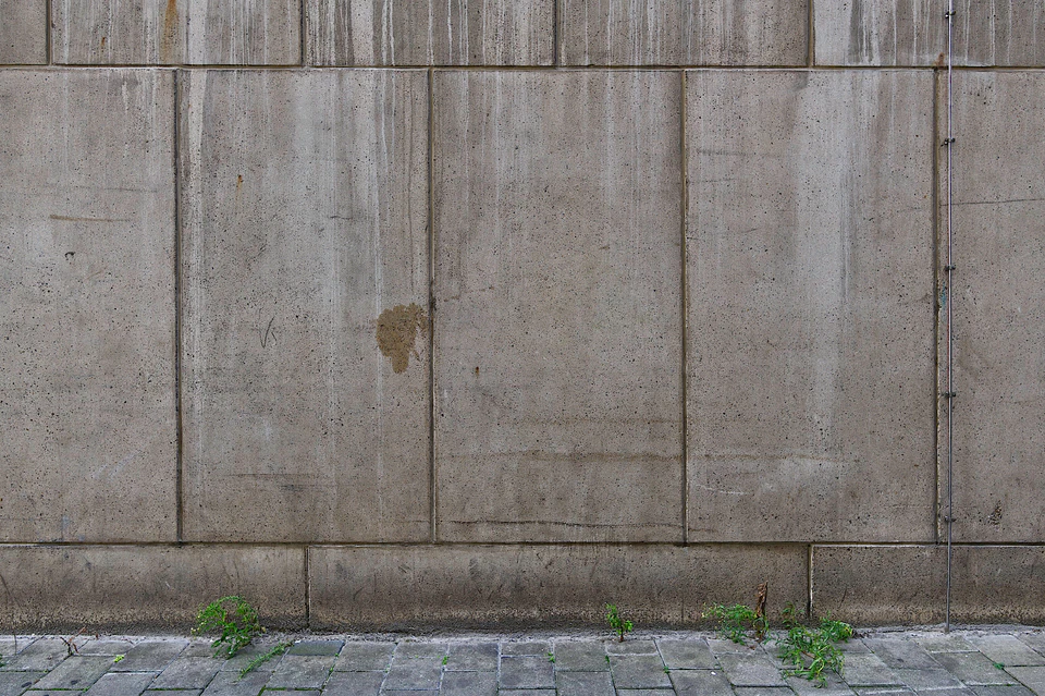 Nature’s Tenacity (2020 - ~) — photograph 8 of 9