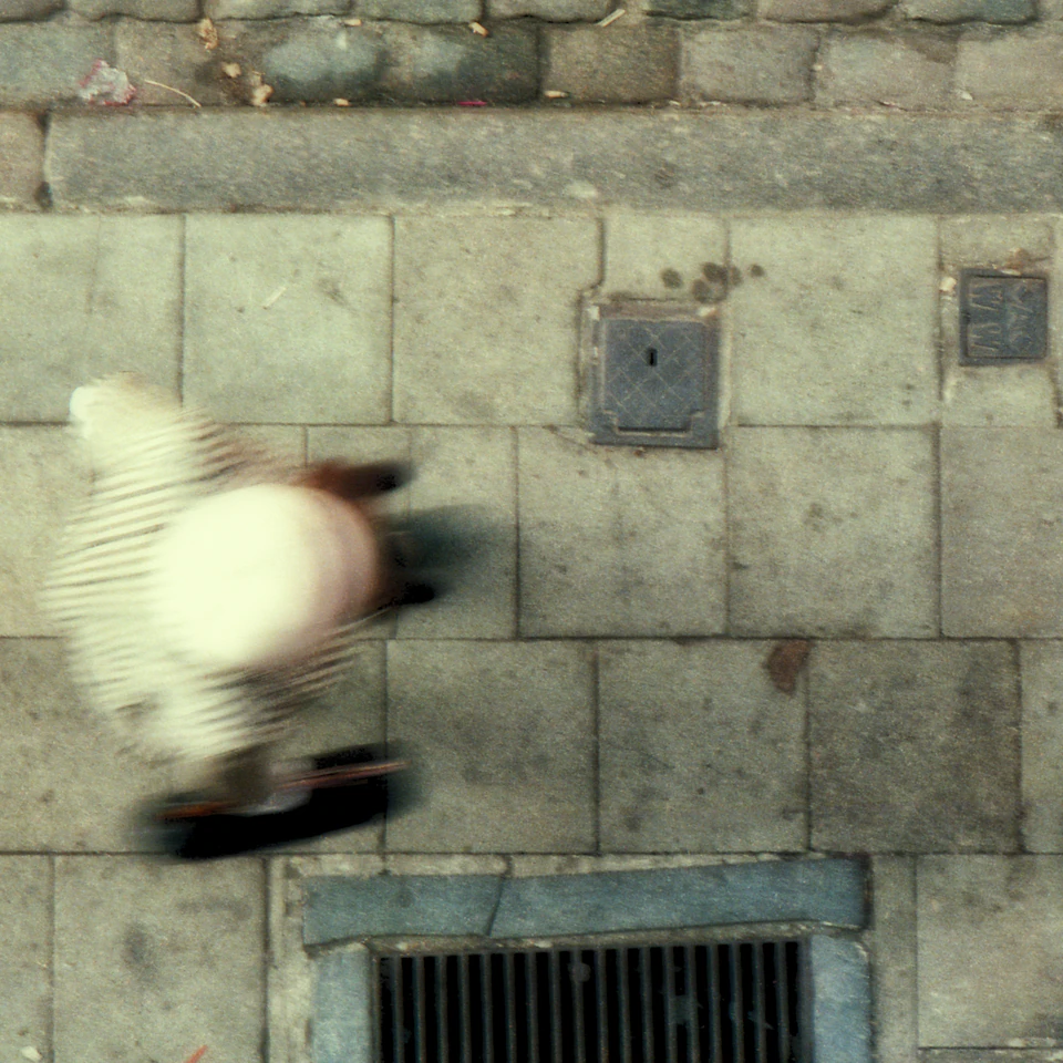 Louck de Bruijn — NEW — photograph 27 of 30