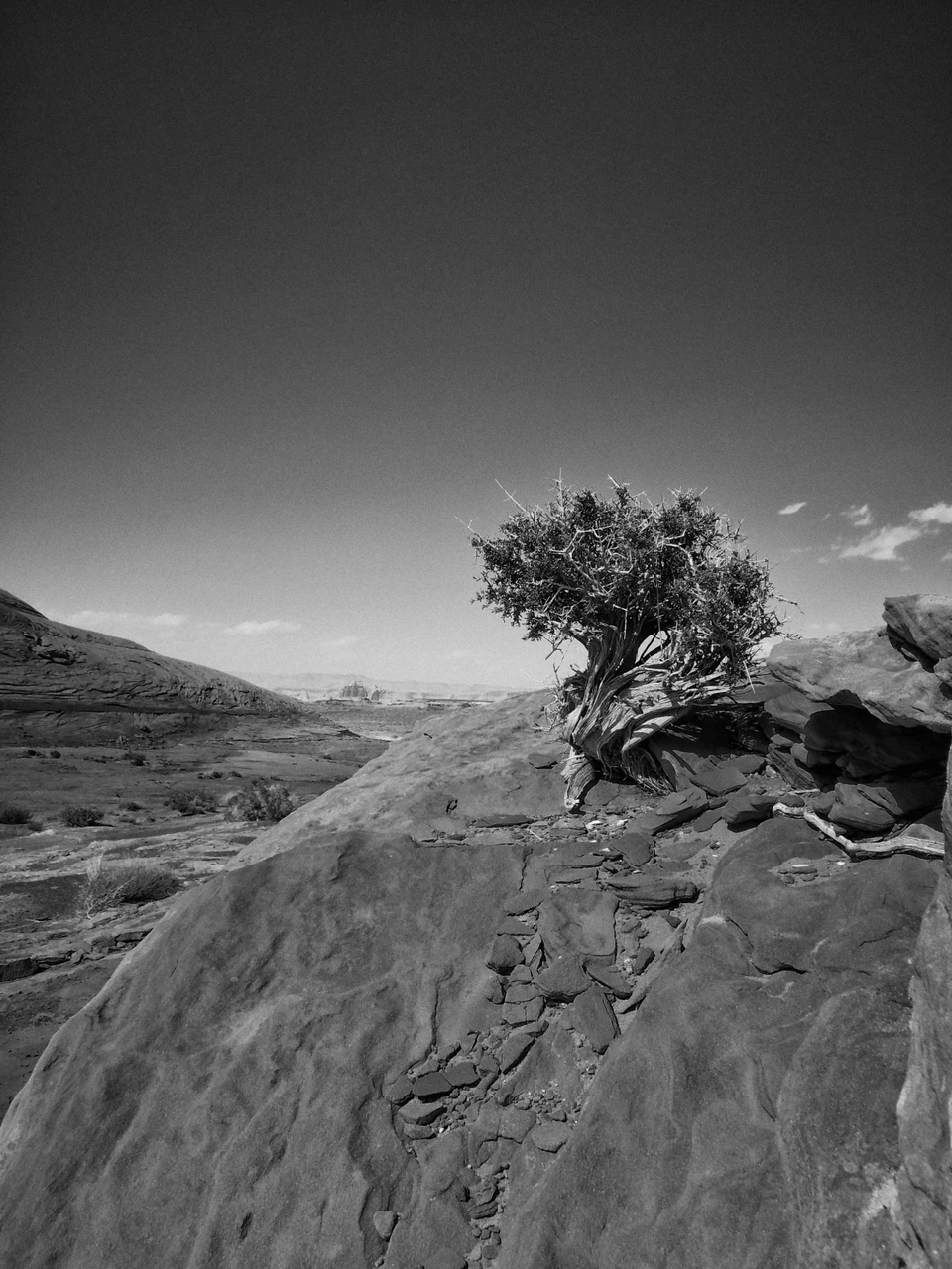 Black & White — photograph 24 of 44