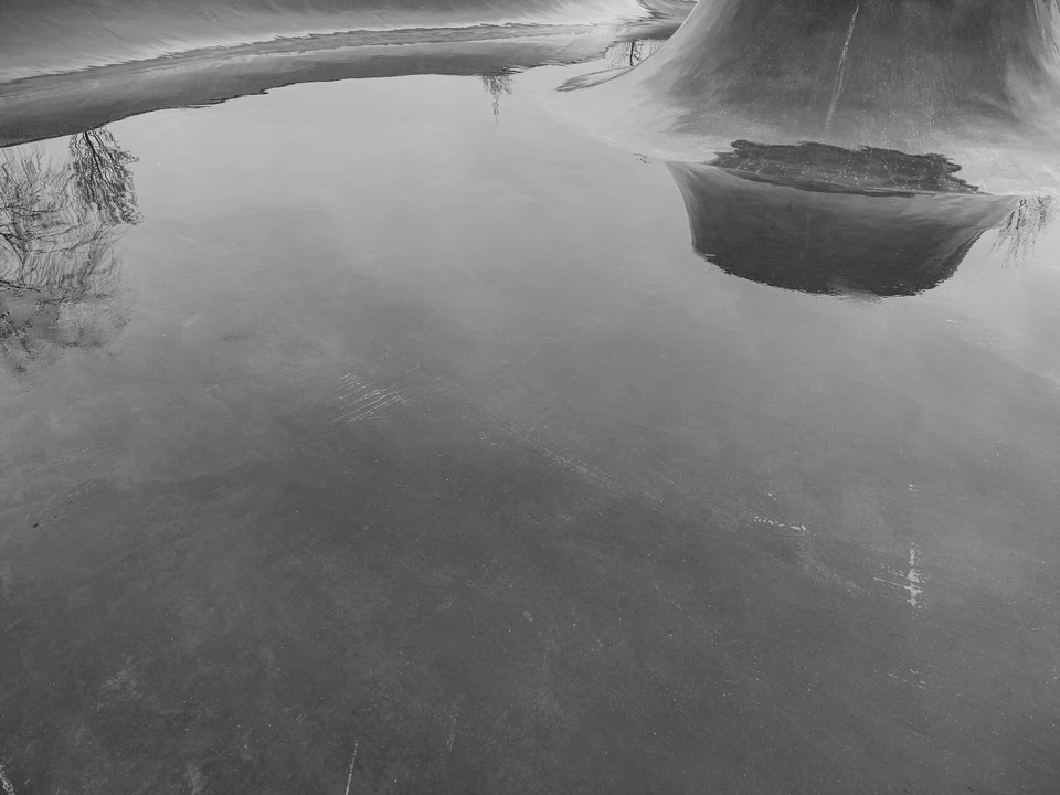 Black & White — photograph 25 of 44