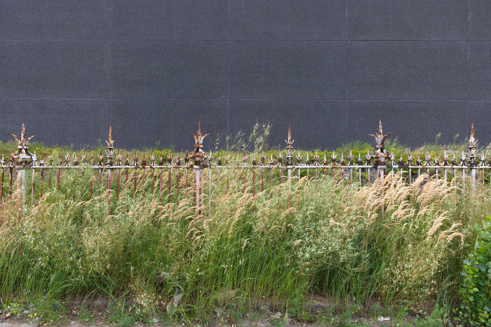 Louck de Bruijn — NEW — photograph 29 of 30