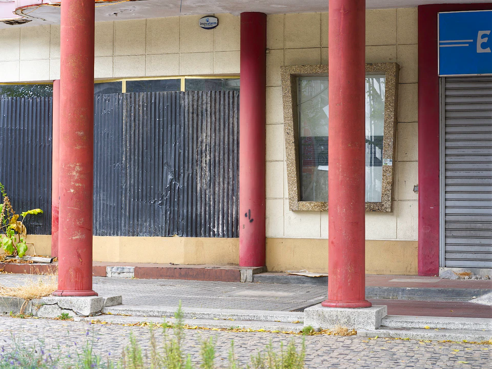 Louck de Bruijn — NEW — photograph 25 of 30