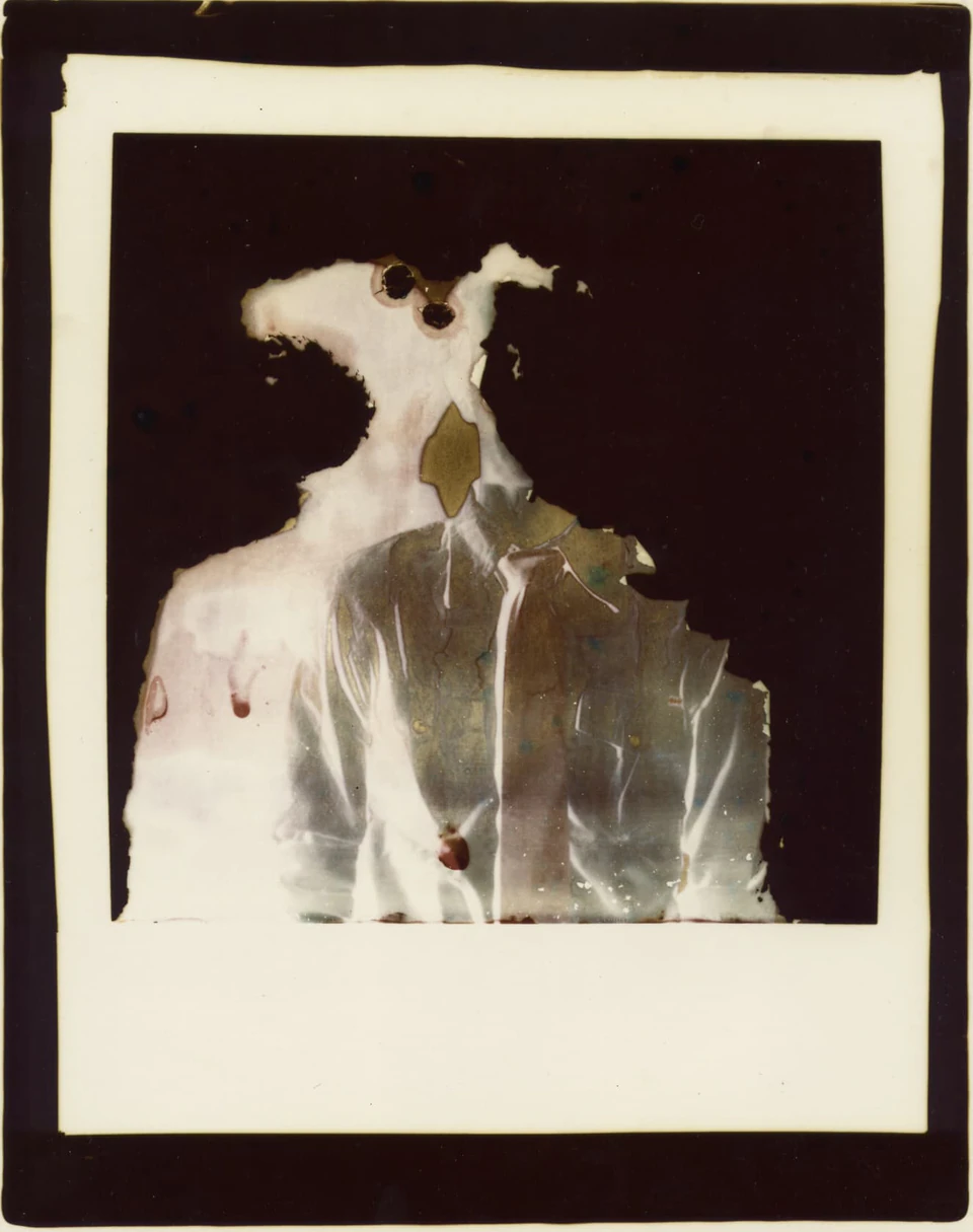 Polaroid Sidesteps (1979) — photograph 1 of 8