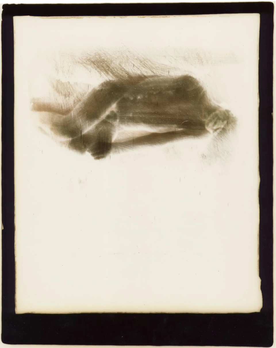 Polaroid Sidesteps (1979) — photograph 4 of 8