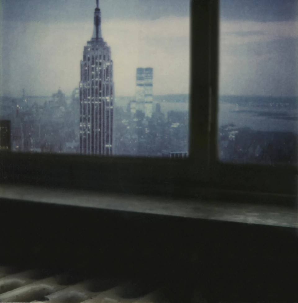 Polaroid Views (1979 - ~) — photograph 11 of 20