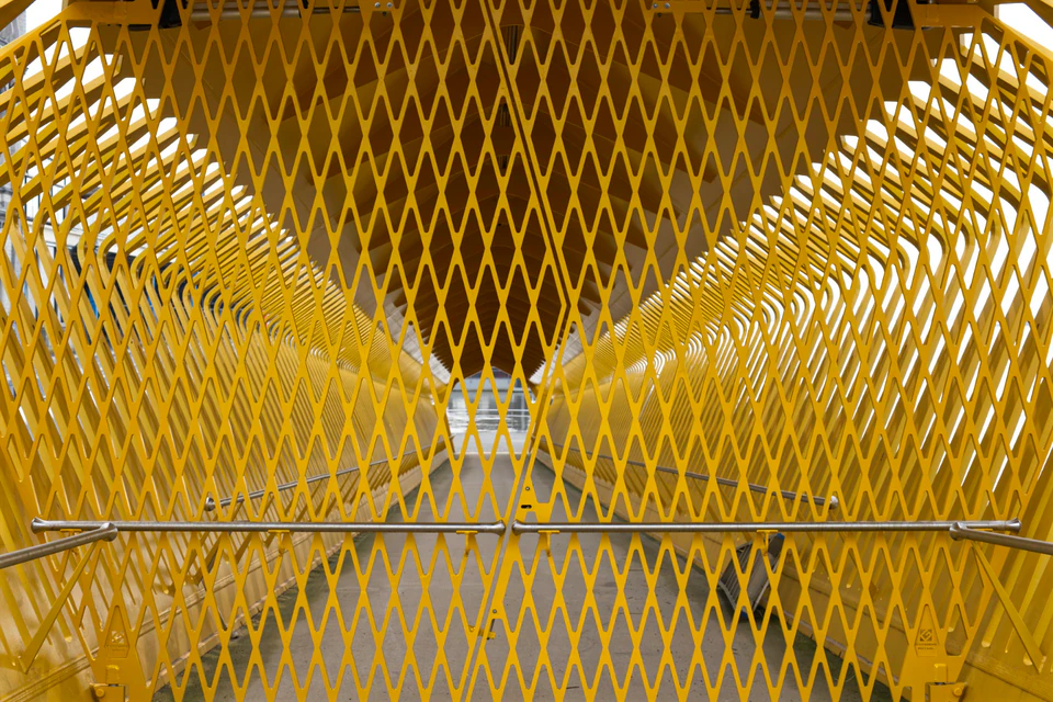 Color — photograph 53 of 73